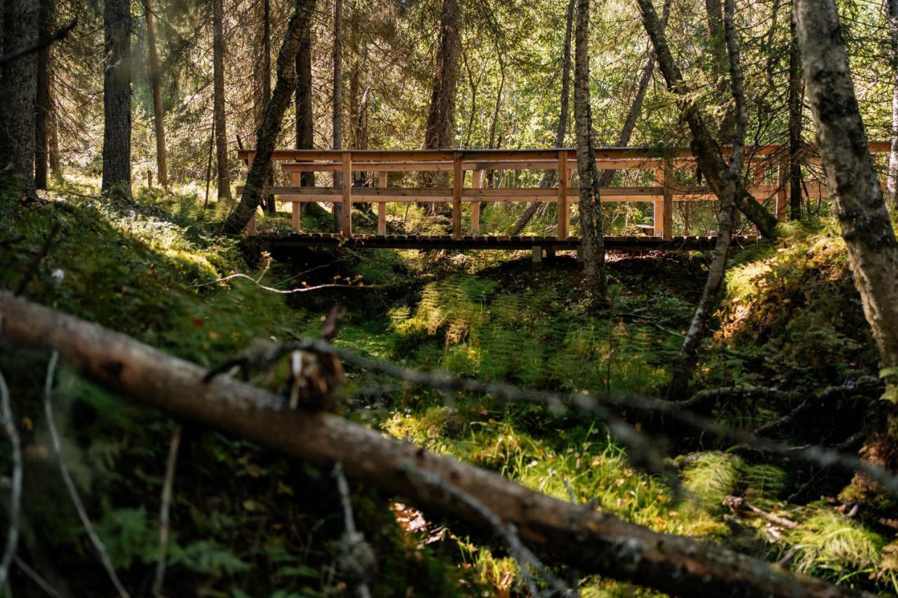 Ollero Eco Lodge Rovaniemi Luaran gambar