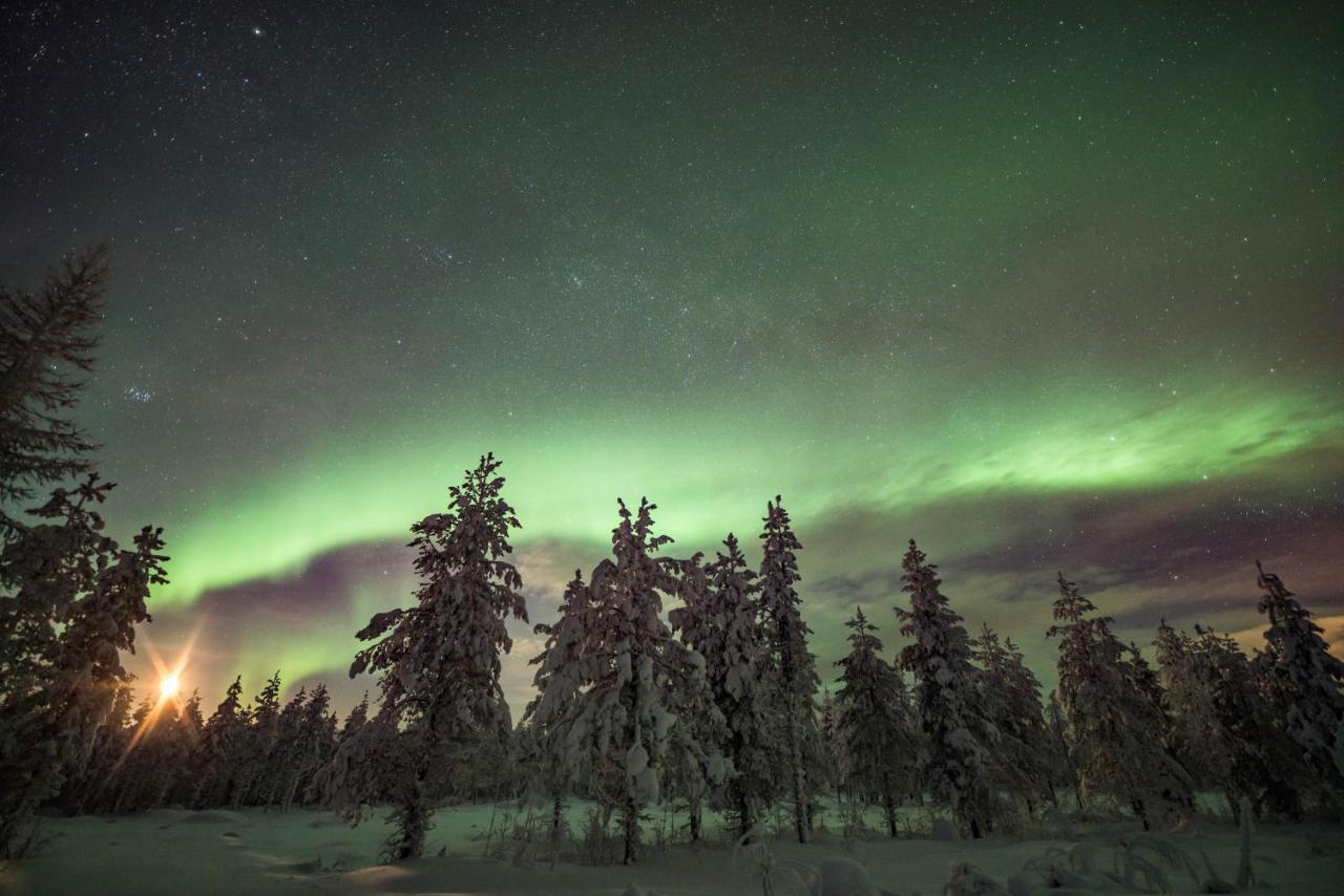 Ollero Eco Lodge Rovaniemi Luaran gambar
